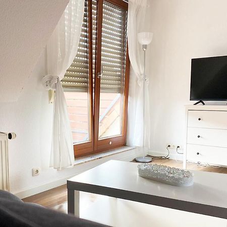 Schoenes 1 Zimmer Apartment Mit Dachterrasse Глаухау Екстер'єр фото